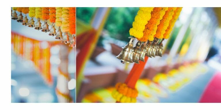 Shruti & Annayya - photograph 3